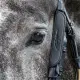 Dyon Blinkers Working by Dy\'on